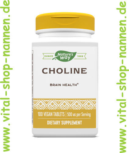 Cholin 500 mg, Bitartrate, 100 Tabletten
