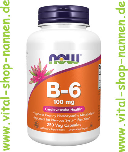 Vitamin B-6 100 mg 250 Kapseln