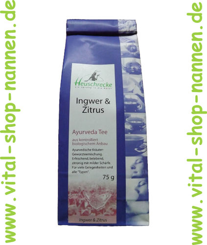 Ingwer & Zitrus Tee Bio 75g