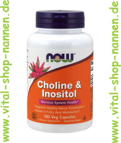 Choline & Inositol, 500 mg, 100 Vcaps